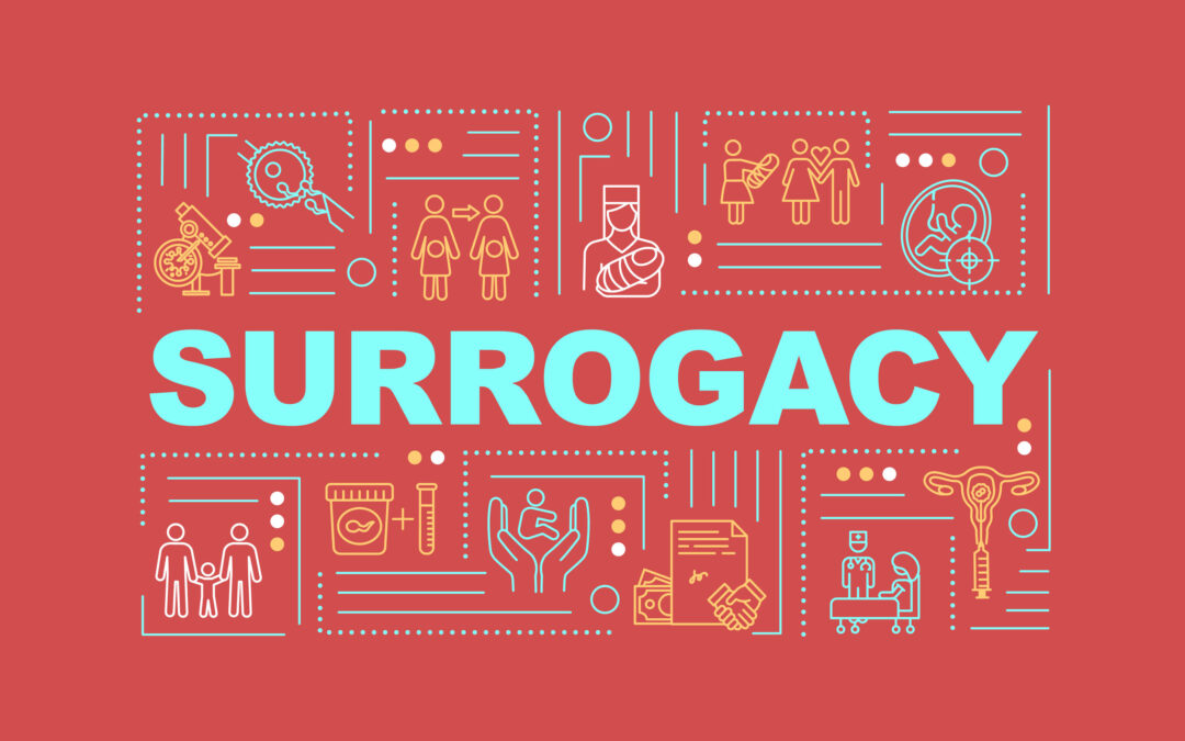 Commercial Surrogacy Briefing – Sioux Falls