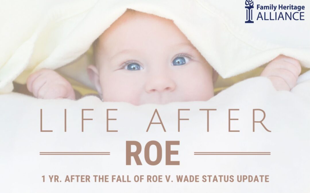 Life After Roe – Sioux Falls Lunch Event