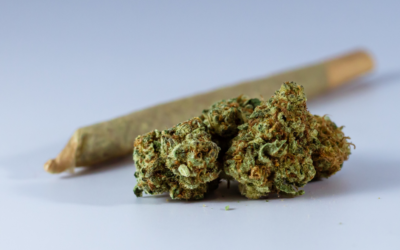 Recreational marijuana is too dangerous to be legalized